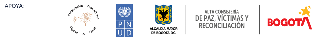 logo pnud y altaconsejería